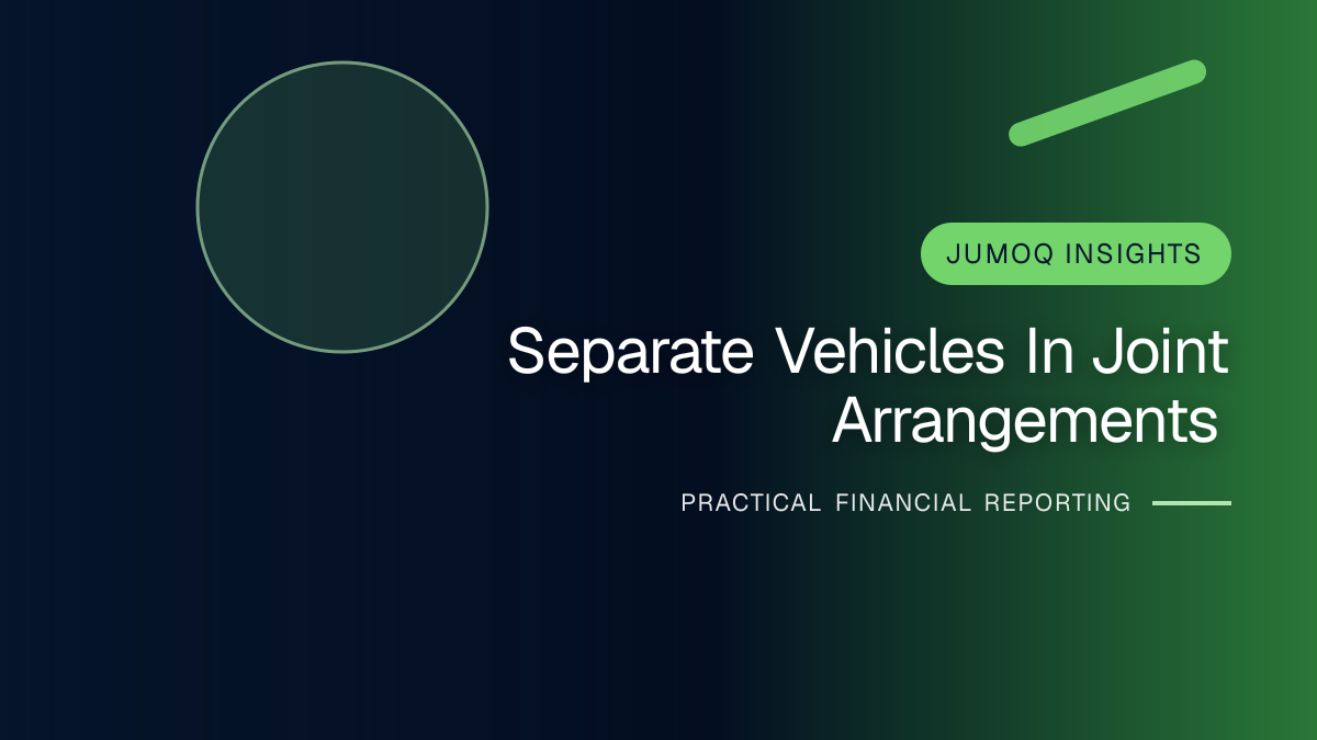 Professional financial reporting illustration for Separate Vehicles in Joint Arrangements